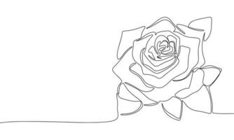 Rose flower as one line drawing banner. Continuous hand drawn minimalist minimalism design isolated on white background vector illustration.