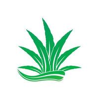 Aloe Vera logo icon design symbol beauty vector