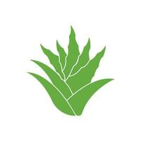 Aloe Vera logo icon design symbol beauty vector