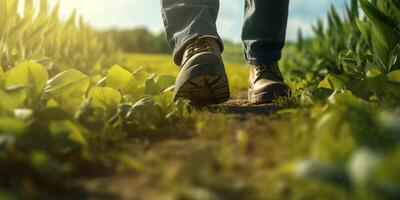 The closeup view of a farmer feed with rubber boots in the garden with . photo