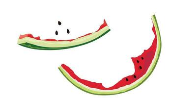 Watermelon vector illustration. Half eaten watermelon slices. Watermelon rind. Summer fruit theme and concept. Flat vector in cartoon style.