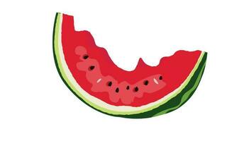Watermelon vector illustration. Half eaten watermelon. Summer fruit theme and concept. Flat vector in cartoon style.
