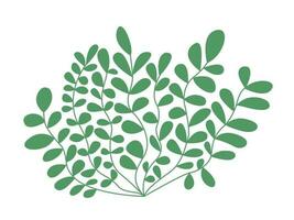 Underwater seaweed vector illustration. Hand drawn algae vector clipart