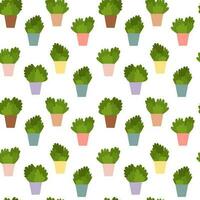 Vector cactuses seamless pattern. Flat style succulent plants in pot pattern.