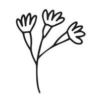 Small summer flower doodle illustration. Hand drawn cornflower doodle isolated vector