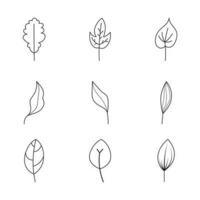 minimalista hoja recopilación. mano dibujado rama, hojas hierbas y salvaje plantas conjunto en línea estilo.4 vector
