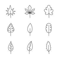 Minimalist leaf collection. Hand drawn branch, leaves herbs and wild plants set in line style.2 vector