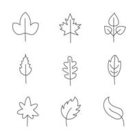 Minimalist leaf collection. Hand drawn branch, leaves herbs and wild plants set in line style. vector