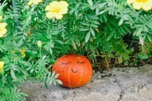 Halloween party. Halloween pumpkin. Halloween is held in autumn, in October photo