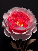 Illustration of a Peony in black background. photo