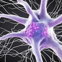 Neuron cell network model. photo