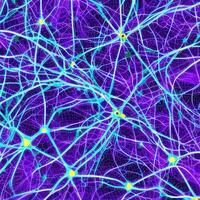 Neuron cell network model. photo