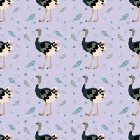 Pattern with ostrich bird. vector