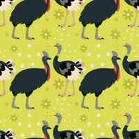 Pattern with ostrich and cassowary bird. vector