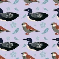 Pattern with sparrow, loon bird. vector