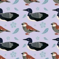 Pattern with sparrow, loon bird. vector