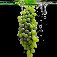 Amazing bunch of Grapes with water splash and drops isolated, photo