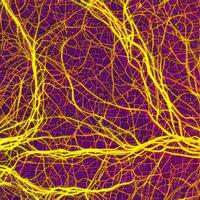 Neuron cell network model. photo