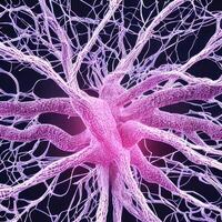 Neuron cell network model. photo