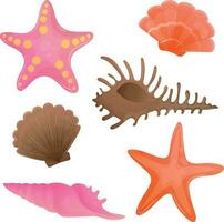 Set of different bright sea shells and starfish on a white background. Summer stickers with marine inhabitants. Orange, brown and pink shells of an unusual shape without a background vector