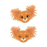 conjunto de marrón cabezas de un mullido chihuahua con diferente emociones vector