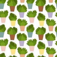 Vector cactuses seamless pattern. Flat style succulent plants in pot pattern.