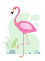 Cute cartoon pink flamingo. Drawing african baby wild exotic tropical bird. Kind smiling jungle safari animal. Vector eps creative graphic hand drawn print