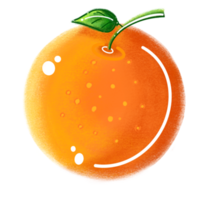 A bright orange fruit drawing. Appetizing png