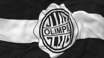 club olimpia vlag naadloos looping achtergrond, lusvormige kleding golvend langzaam beweging, 3d renderen video
