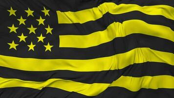 club atletiek penarol vlag naadloos looping achtergrond, lusvormige kleding golvend langzaam beweging, 3d renderen video