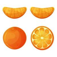 naranja todo y rebanadas de naranjas vector ilustración aislado en blanco.