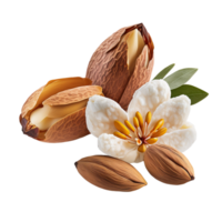 amandes avec feuilles isolé png. génératif ai png