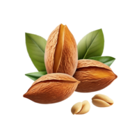 Almendras con hojas aislado png. generativo ai png