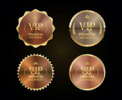 Golden badge VIP premium member design isolated on black background vector