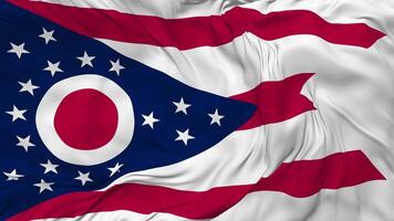 State of Ohio Flag Seamless Looping Background, Looped Bump Texture Cloth Waving Slow Motion, 3D Rendering video