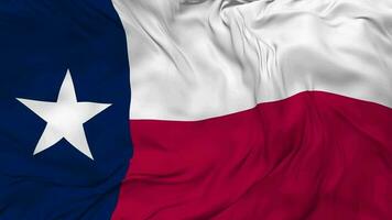 estado de Texas bandera sin costura bucle fondo, serpenteado bache textura paño ondulación lento movimiento, 3d representación video