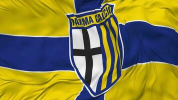 Parma kalcio 1913 Flagge nahtlos Schleifen Hintergrund, geloopt Stoff winken schleppend Bewegung, 3d Rendern video