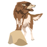 wolf wild hond PNG