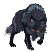 Loup sauvage chien png