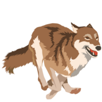 Loup sauvage chien png