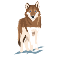 wolf wild hond PNG