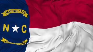 State of North Carolina Flag Seamless Looping Background, Looped Bump Texture Cloth Waving Slow Motion, 3D Rendering video