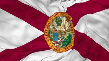 State of Florida Flag Seamless Looping Background, Looped Bump Texture Cloth Waving Slow Motion, 3D Rendering video