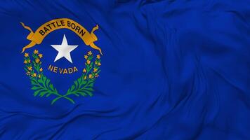 State of Nevada Flag Seamless Looping Background, Looped Bump Texture Cloth Waving Slow Motion, 3D Rendering video