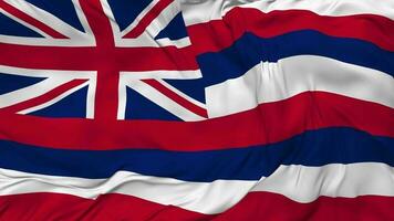 Zustand von Hawaii Flagge nahtlos Schleifen Hintergrund, geloopt stoßen Textur Stoff winken schleppend Bewegung, 3d Rendern video