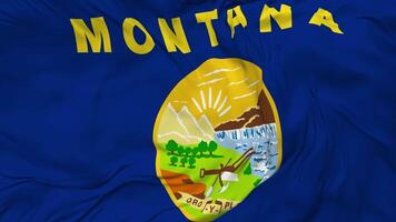 State of Montana Flag Seamless Looping Background, Looped Bump Texture Cloth Waving Slow Motion, 3D Rendering video