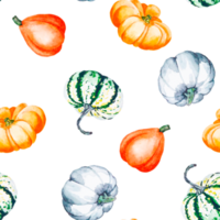 Pumpkins. Watercolor pattern of bright pumpkins. Illustration with vegetables. Suitable for cards, invitations, banners, notepads, posters, calendars. Can be used for your design. png