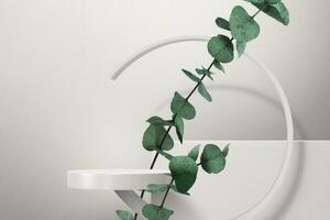 Round stage with plant on white background. 3d illustration of product display stage with geometric frame. vector