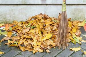 pile of dry leaves swept up with a broom made of twigs, collected at the edge photo