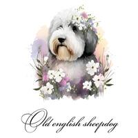 Watercolor single dog breed old english sheepdog with flowers. Guide dog, a disability assistance dog. Watercolor animal collection of dogs. Dog portrait. Illustration of Pet. photo
